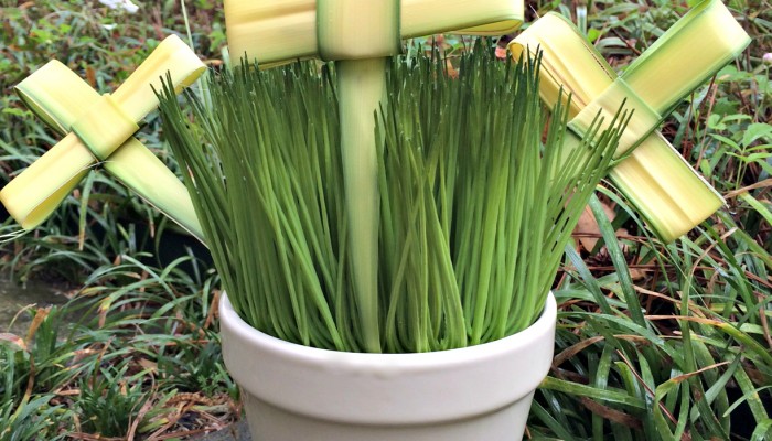 How to Make a Cross Out of a Palm Sunday Branch
